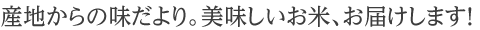 産地からの味だより。美味しいお米、お届けします！